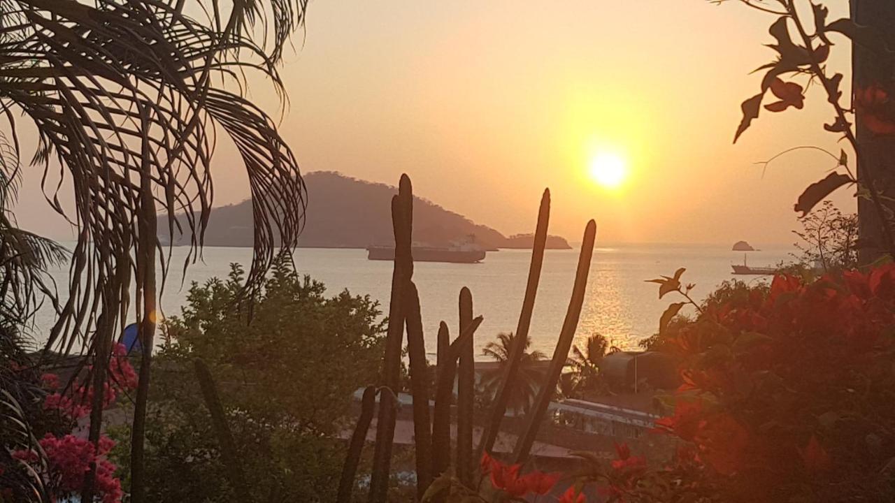 Cerrito Tropical Eco Lodge 塔沃加 外观 照片