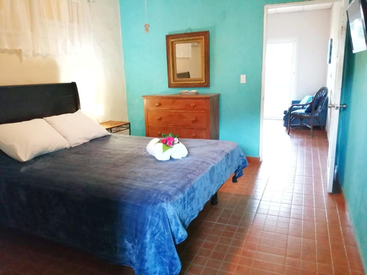 Cerrito Tropical Eco Lodge 塔沃加 外观 照片