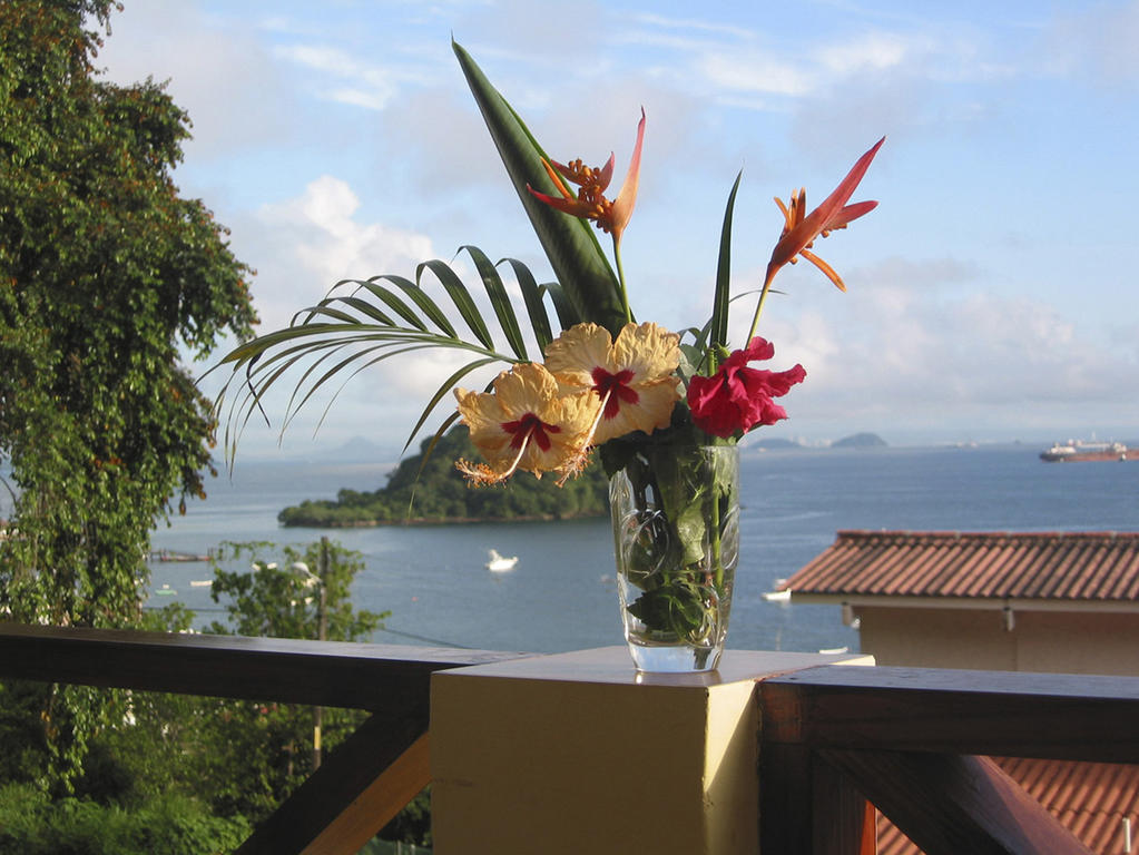Cerrito Tropical Eco Lodge 塔沃加 客房 照片