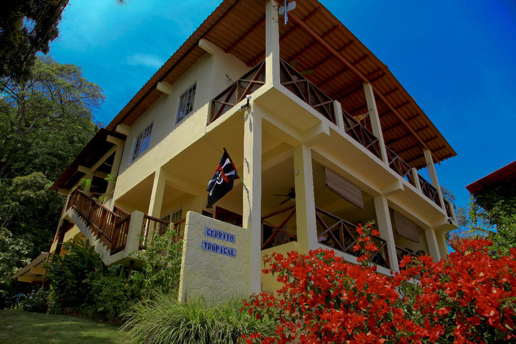 Cerrito Tropical Eco Lodge 塔沃加 外观 照片