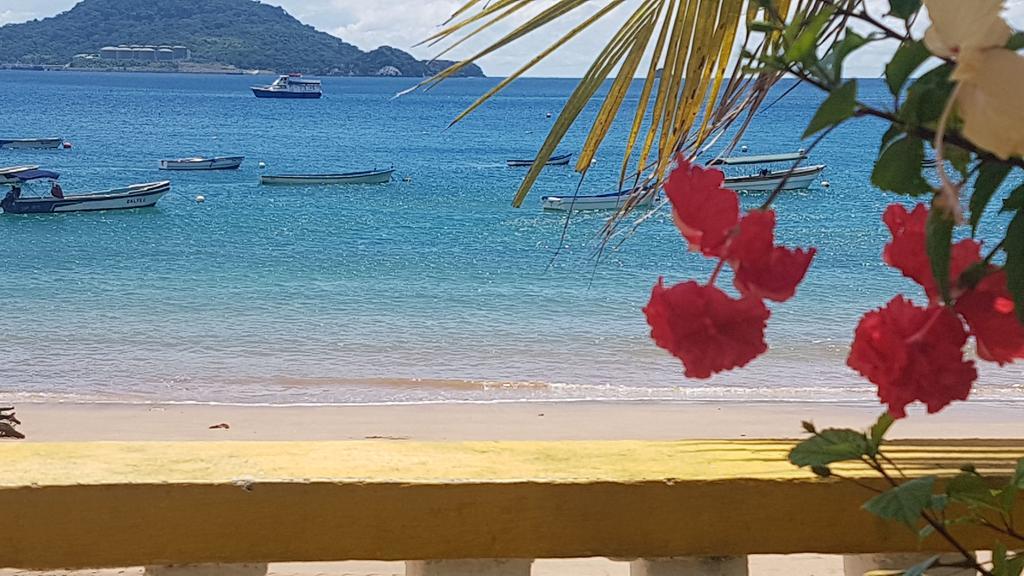 Cerrito Tropical Eco Lodge 塔沃加 外观 照片