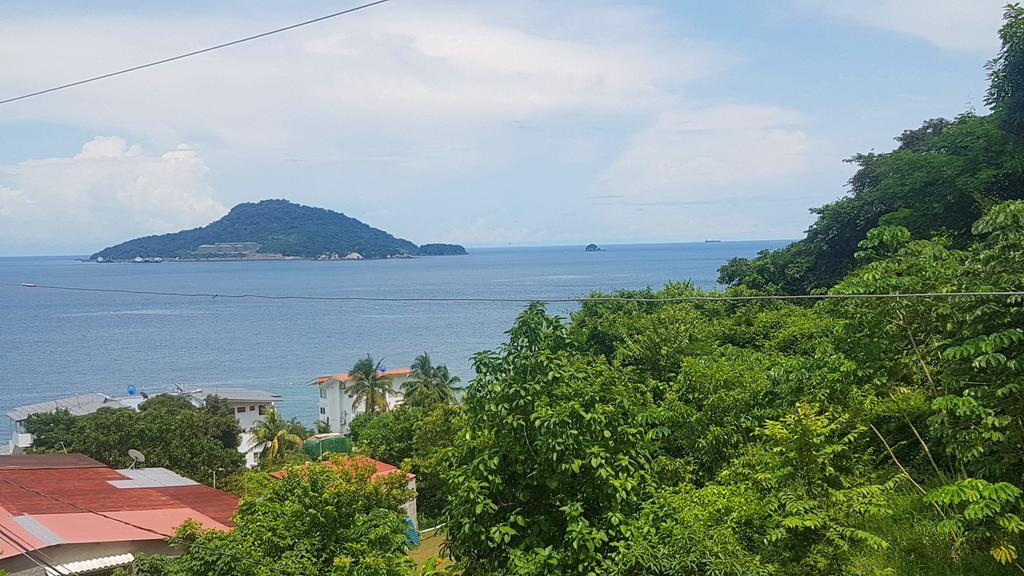 Cerrito Tropical Eco Lodge 塔沃加 外观 照片